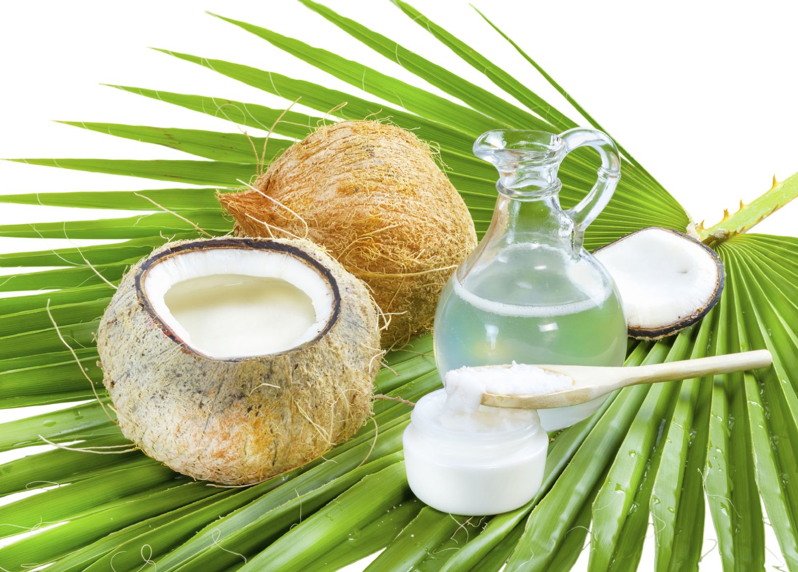 Coconut Oil