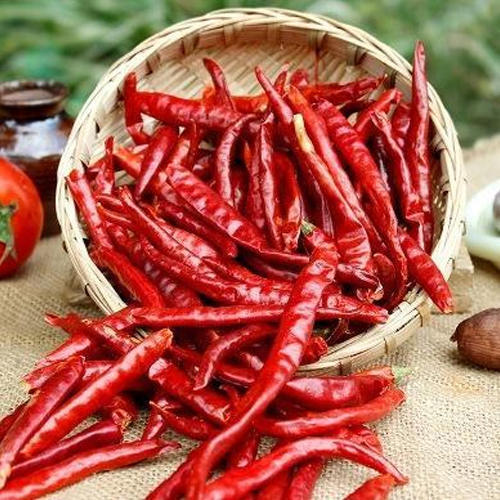 Red Chilli